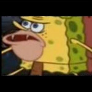 Meet your Posher, Carter